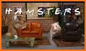 Hamster & Friends related image