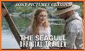The Seagull related image