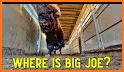 Big Joe GO! related image