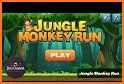 monkey run - jump and race through the jungle related image