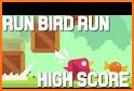 Bird Run related image