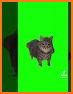 Bouncing Cats:Kitty Music Game related image