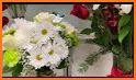 1800Flowers: Same-Day Flowers & Gifts Delivery related image