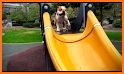 Playground: Pets related image