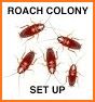 Little Colony related image