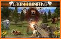 Safari Simulator: Lion related image