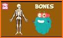 Our Skeletal System related image