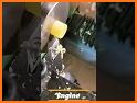 Sharp related image