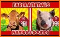 Farm Animal Picture Match related image