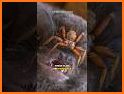 Flying Bugs related image