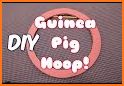 Guinea Pig Wallpaper related image