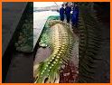 القرأن الكريم - Read Al Quran‏ related image