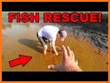 Fish Rescue : Save the fish related image