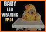 Baby Led Weaning - Chinese Recipes related image