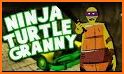 Granny Is Ninja Turtle related image