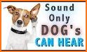 Dog Whistle for Dog Training with High Frequency related image