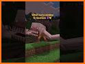 Mobs Mod for Minecraft related image