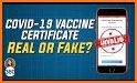 Vaccine Certificate Verifier related image