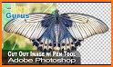 Pro Cut Tool - Photo Erase Background related image