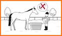 Laminitis related image