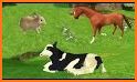 Animals Puzzles & Sounds related image