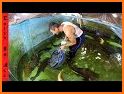 Fish World video of ornamental fish related image