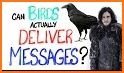 Bird Message related image