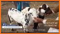 Bakra Eid Photo Frames 2018 related image