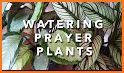 Plantiary: Plant Care Reminder Plant Watering related image
