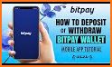 Bit Pay related image