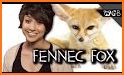 Fennec Fox Defense related image