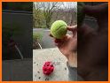 Bouncy Ball Ball related image