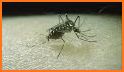 Stop Dengue : Identify mosquito breeding places related image