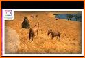 Wild Horse Simulator : Arabian Horse Game related image