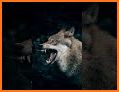Wolf wallpapers - hd animal wallpapers related image
