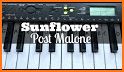 Sunflower Keyboard Theme related image