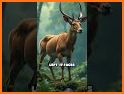 Saola related image