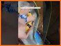 DiceMerge2048 related image