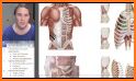 Abdomen and Thorax Lectures related image