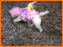 My little unicorn pony dolls runner related image