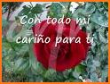 Rosas de Amor y Amistad related image