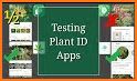 PlantIn: Plant Identifier related image