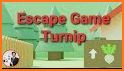 Escape Game Turnip related image
