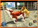 Angry Lion City Attack: Wild Animal Games 2020 related image