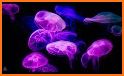 Jelly Fish related image