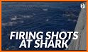 Shark Shooting In The Sea related image