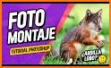 Fotos con animales, fotomontaje y filtros salvajes related image