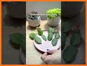 Plants Christmas related image