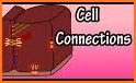Cell Connect related image
