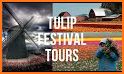 Tulip Town 360 Tour related image
